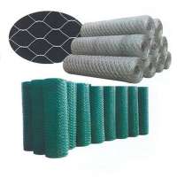 hot dip galvanized rust proof chicken wire netting